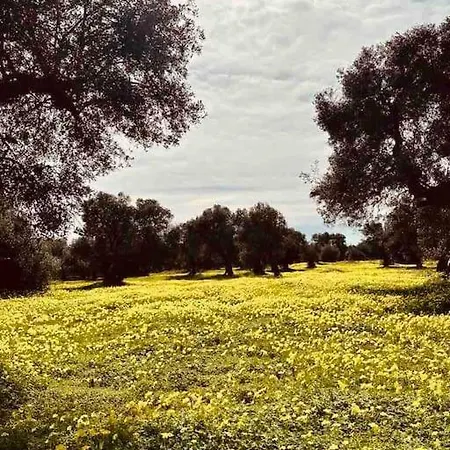 Villa Tenuta Tre Marie, Di Pregio Con Piscina A *