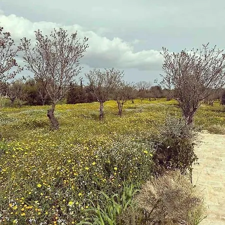 Tenuta Tre Marie, Di Pregio Con Piscina A Ostuni